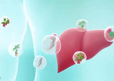 1702454529924162.gif