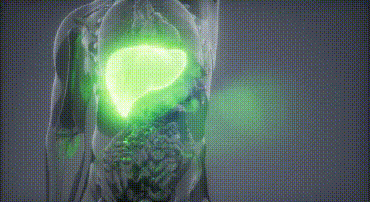 1702454529935987.gif